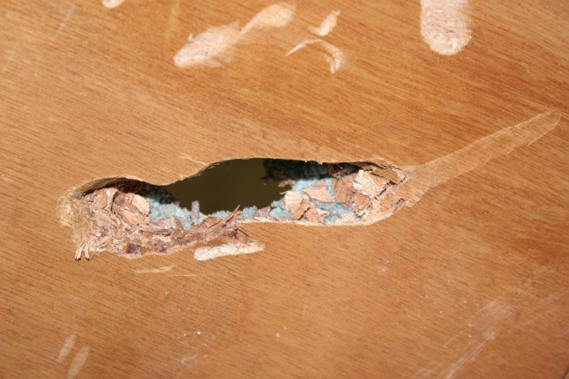 IMG_8708.JPG - The hole from the bottom of the boat.