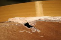 IMG_8720