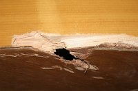 IMG_8732
