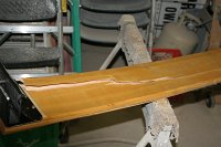 IMG_8691