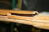 IMG_8767